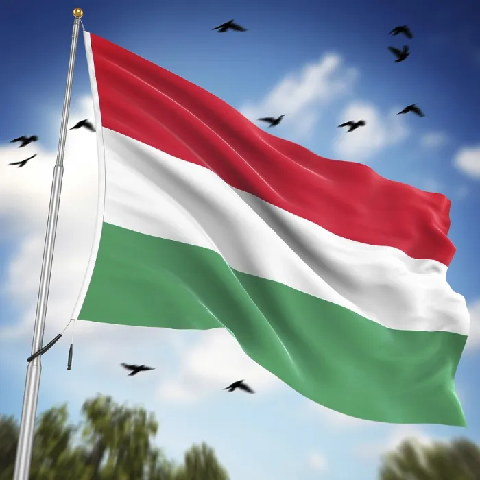 Framed Print : Computer Generated 3D Print of the Flag of Hungary Framed Print : Computer Generated 3D Print of the Flag of Hungary