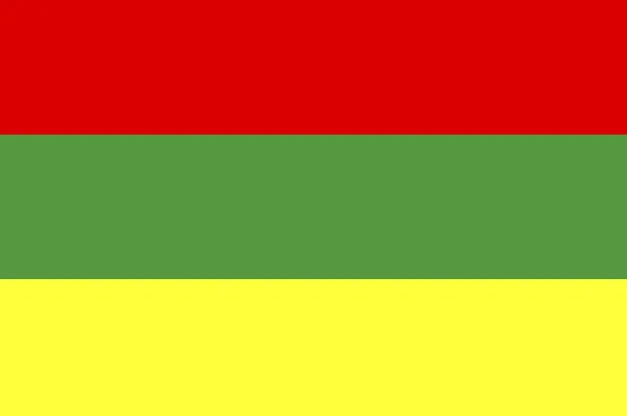 Framed Print : Lithuania Flag Print Framed Print : Lithuania Flag Print