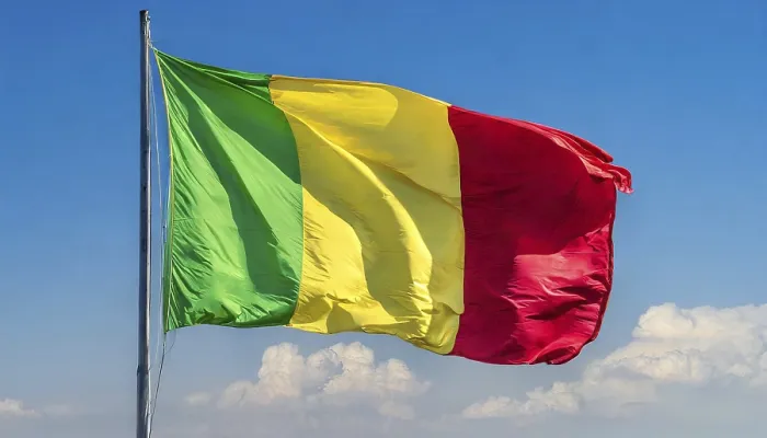 Framed Print : The Flag of Mali Print: Blue Sky Background Framed Print : The Flag of Mali Print: Blue Sky Background