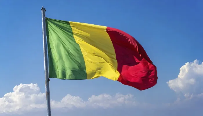 Framed Print : The Flag of Mali Print - Blue Sky Background Framed Print : The Flag of Mali Print - Blue Sky Background