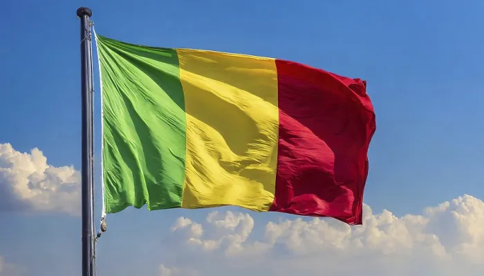 Framed Print : The Flag of Mali Print: Blue Sky Background Framed Print : The Flag of Mali Print: Blue Sky Background