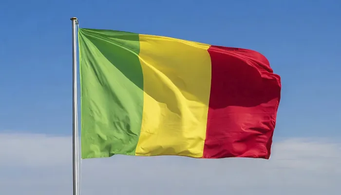 Framed Print : The Flag of Mali Print: Blue Sky Isolation