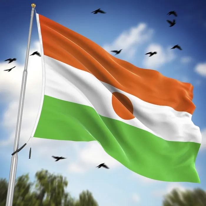 Framed Print : Computer Generated Print of the Flag of Niger Framed Print : Computer Generated Print of the Flag of Niger