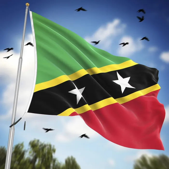 Framed Print : Computer Generated 3D Print of Saint Kitts and Nevis Flag Framed Print : Computer Generated 3D Print of Saint Kitts and Nevis Flag