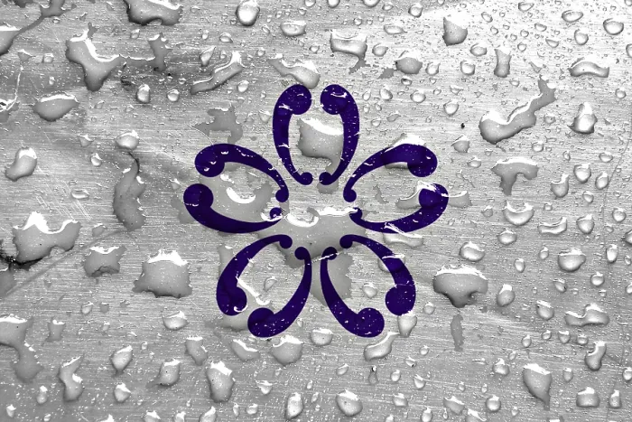 Framed Print : Flag of Sakura with Rain Drops Print Framed Print : Flag of Sakura with Rain Drops Print