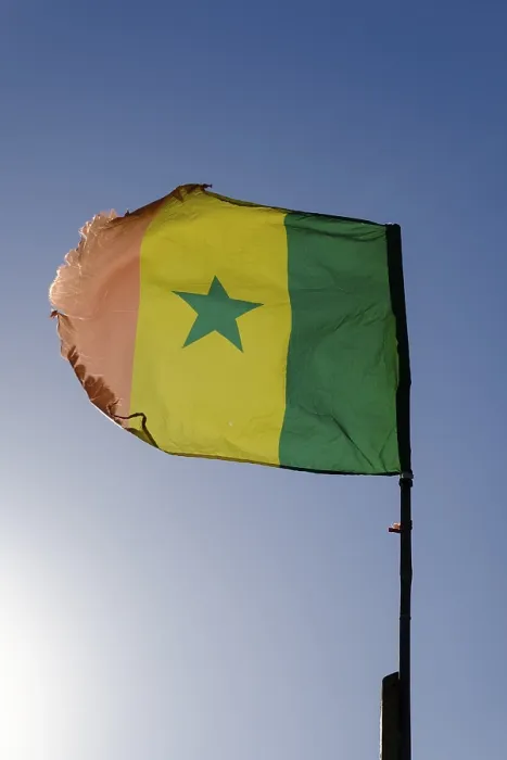 Framed Print : Senegal Flag Print