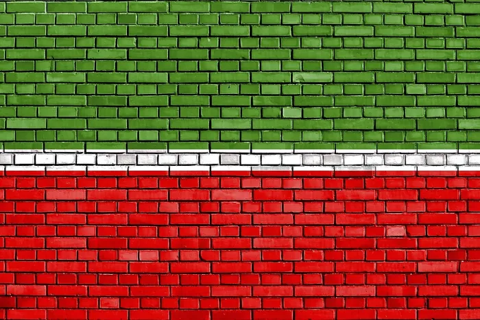 Framed Print : Flag of Tatarstan Painted on Brick Wall Print Framed Print : Flag of Tatarstan Painted on Brick Wall Print