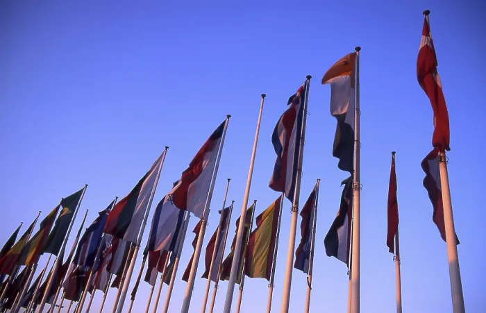 Framed Print : Flags Print by imageBROKER Framed Print : Flags Print by imageBROKER