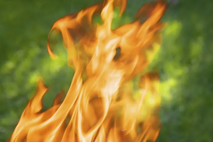 Framed Print : Flames Print by imageBROKER Framed Print : Flames Print by imageBROKER