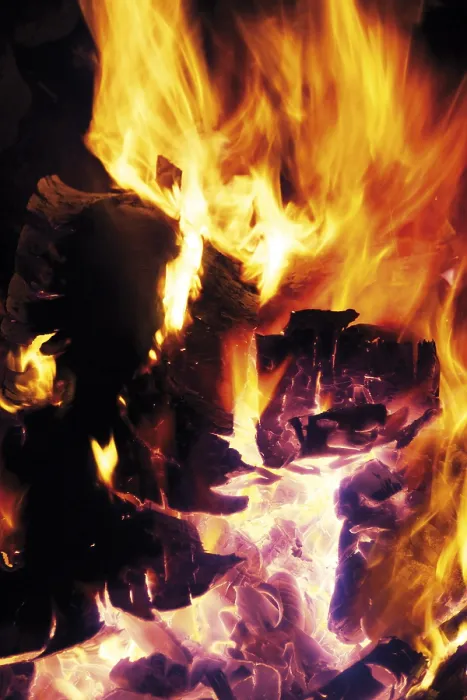 Framed Print : Flames Print by imageBROKER Framed Print : Flames Print by imageBROKER
