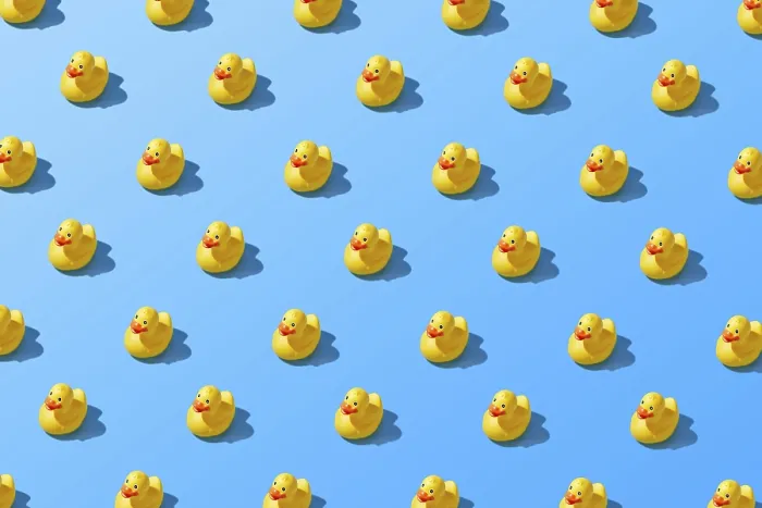 Framed Print : Flat Lay Summer Yellow Rubber Duck Print Framed Print : Flat Lay Summer Yellow Rubber Duck Print