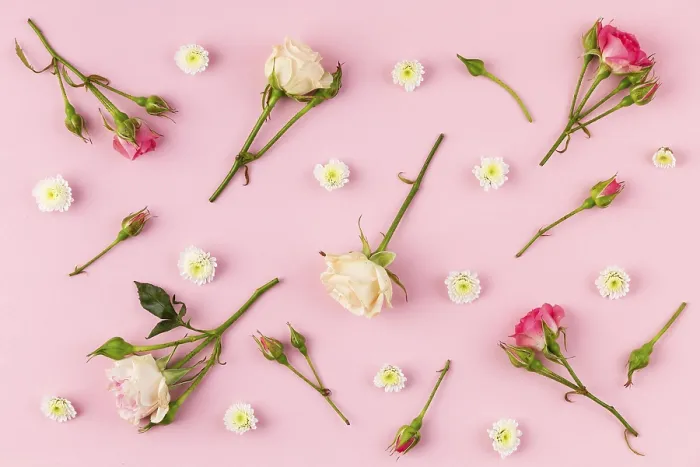 Framed Print : Flat Lay Flowers Print Collection Table 2 Framed Print : Flat Lay Flowers Print Collection Table 2