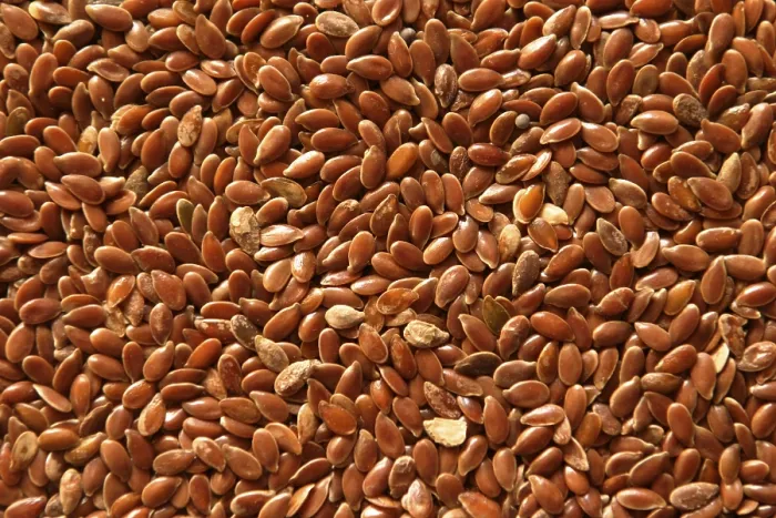 Framed Print : Flaxseed Print - A Nutritious Seed Grain Framed Print : Flaxseed Print - A Nutritious Seed Grain