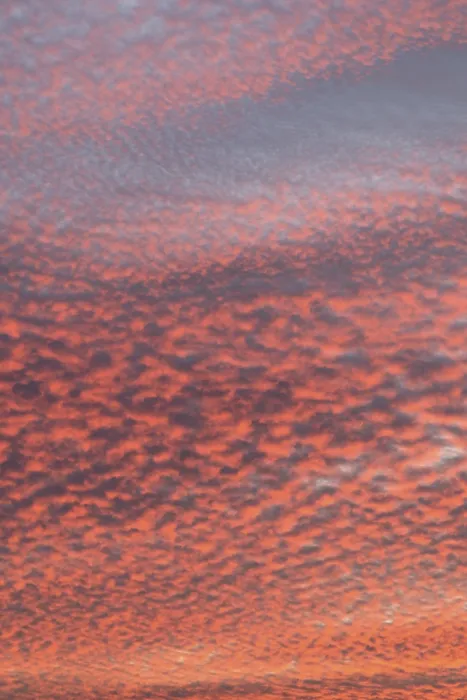 Framed Print : Fleecy clouds (Altocumulus) Print, Bavaria Evening Sky Framed Print : Fleecy clouds (Altocumulus) Print, Bavaria Evening Sky