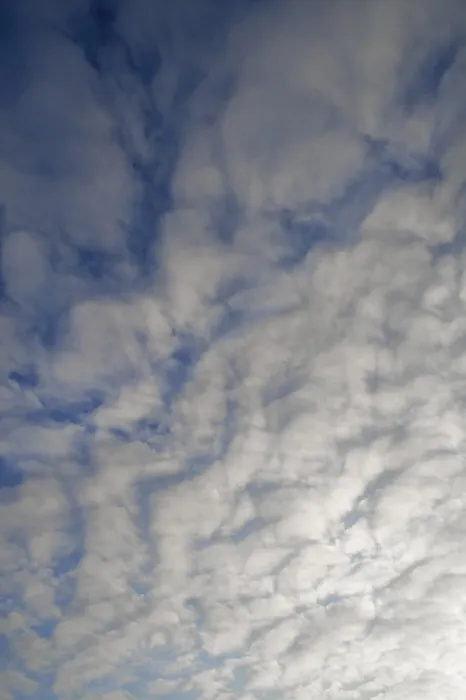 Framed Print : Fleecy clouds, altocumulus, Germany Print Framed Print : Fleecy clouds, altocumulus, Germany Print
