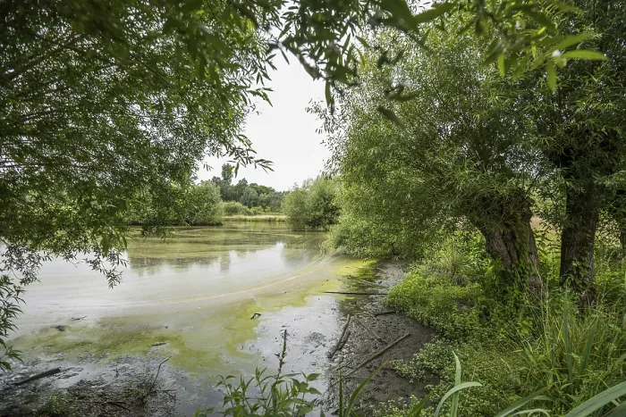 Framed Print : Floodplain Landscape Print of the Erft, Germany Framed Print : Floodplain Landscape Print of the Erft, Germany