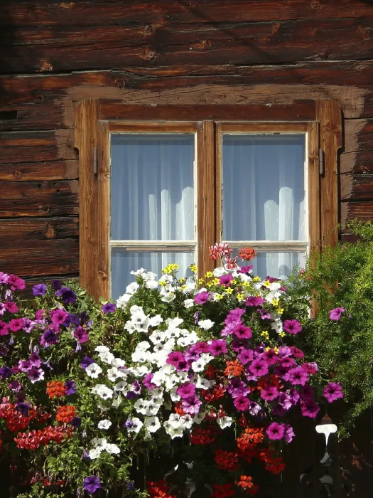 Framed Print : Flower Balcony Print Framed Print : Flower Balcony Print