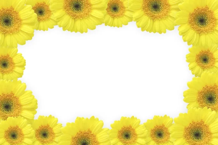 Framed Print : Flowers Frame Print by Gerbers from imageBROKER Framed Print : Flowers Frame Print by Gerbers from imageBROKER
