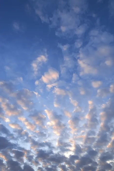 Framed Print : Altocumulus Clouds Print - Fluffy White Sky Formation Framed Print : Altocumulus Clouds Print - Fluffy White Sky Formation