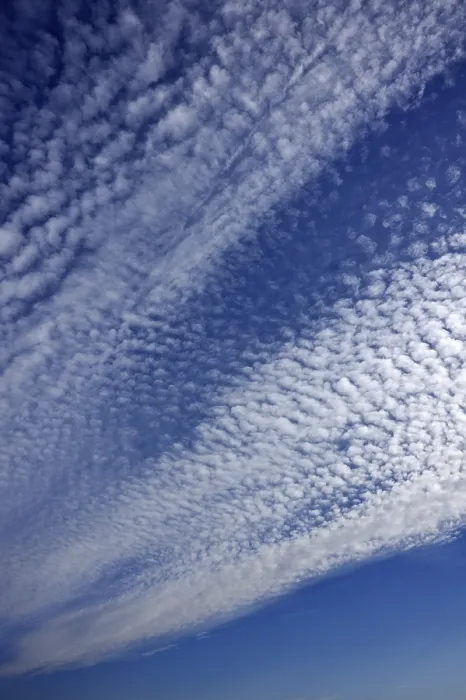 Framed Print : Fluffy Cirrocumulus Clouds Print, Bentin, Germany