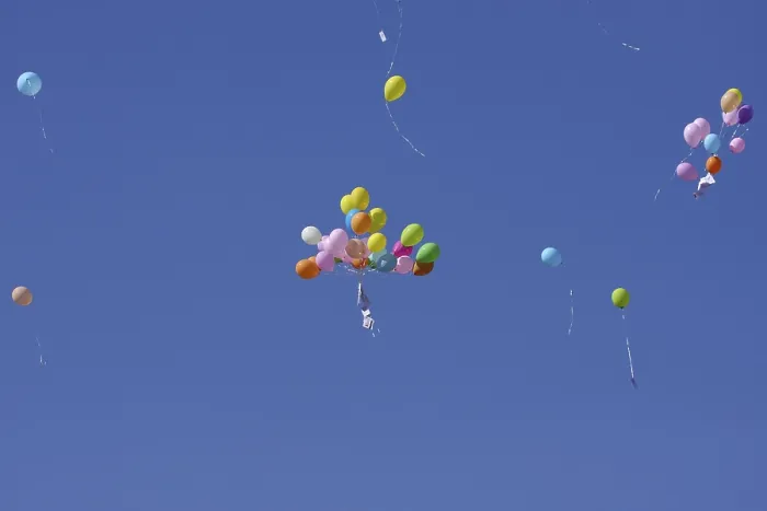 Framed Print : Flying Balloons Print Framed Print : Flying Balloons Print
