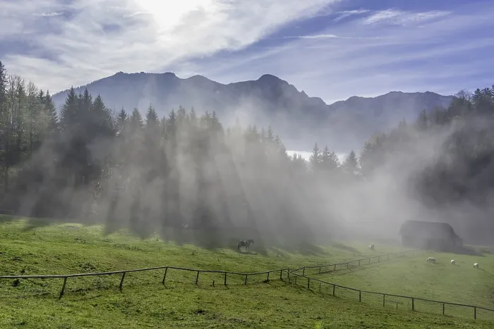 Framed Print : Fog at the Hochsteinalm, Traunkirchen Print, Upper Austria Framed Print : Fog at the Hochsteinalm, Traunkirchen Print, Upper Austria