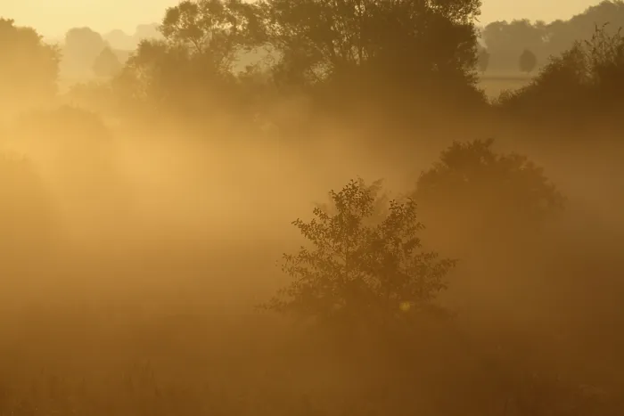 Framed Print : Fog over the meadows Print, Middle Elbe Biosphere Reserve, Germany Framed Print : Fog over the meadows Print, Middle Elbe Biosphere Reserve, Germany
