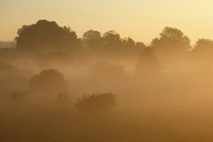 Framed Print : Fog over the meadows Print, Middle Elbe Biosphere Reserve, Germany