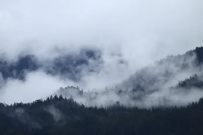 Framed Print : Print of Fog over the Pacific Rainforest, Alaska Framed Print : Print of Fog over the Pacific Rainforest, Alaska