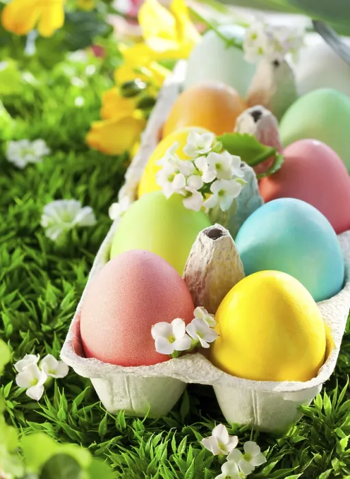Framed Print : Colored Easter Eggs in an Egg Box on Grass Print Framed Print : Colored Easter Eggs in an Egg Box on Grass Print