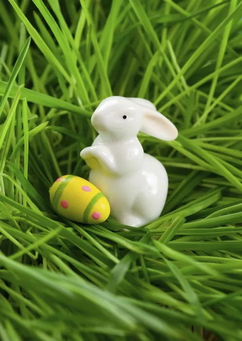 Framed Print : Easter Rabbit and Eggs Print on Grass Framed Print : Easter Rabbit and Eggs Print on Grass