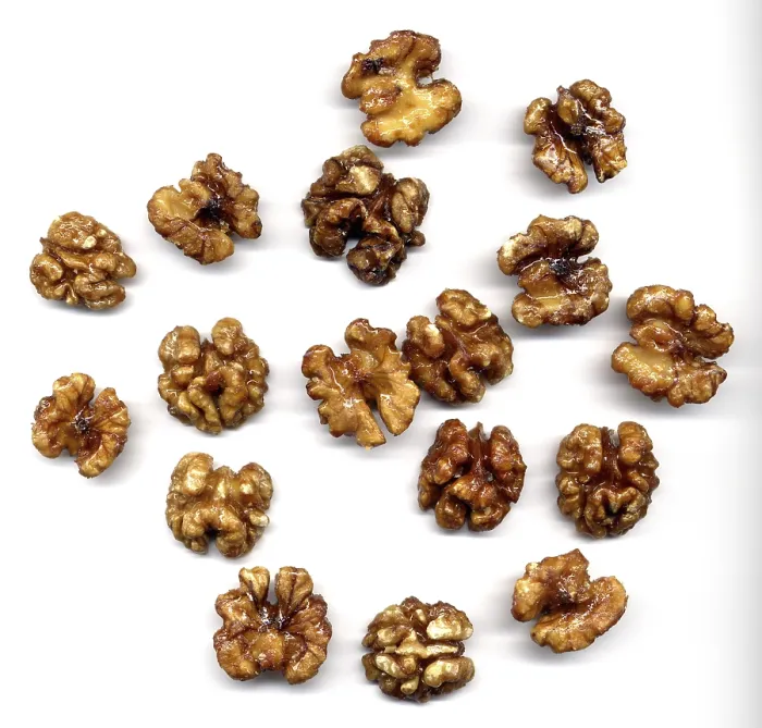 Framed Print : Walnut Kernel Print on White Background Framed Print : Walnut Kernel Print on White Background