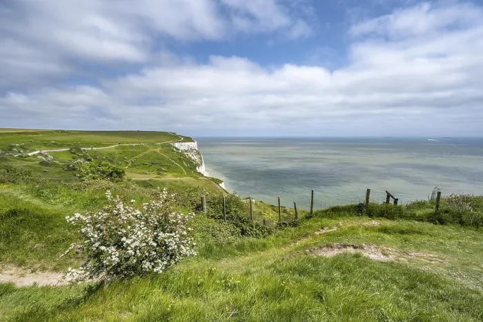 Framed Print : Footpath along the chalk cliffs of Dover Print, Kent, England