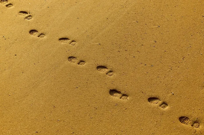 Framed Print : Footprints in the Sand Print Framed Print : Footprints in the Sand Print