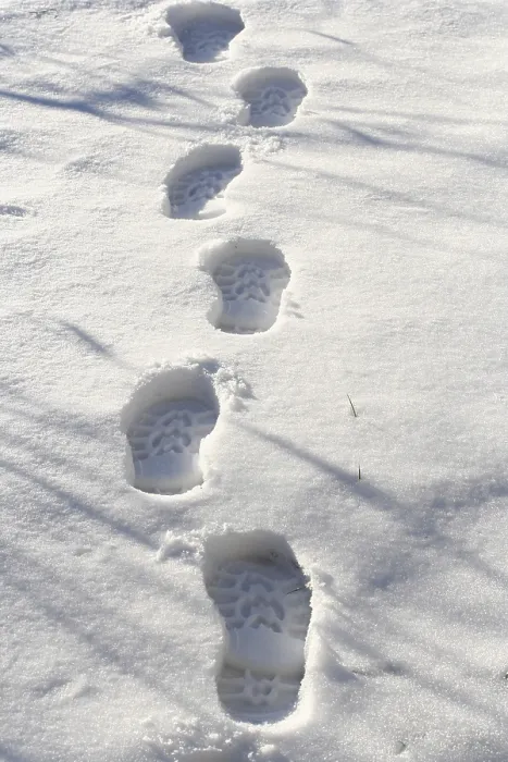 Framed Print : Footprints in the Snow Print Framed Print : Footprints in the Snow Print