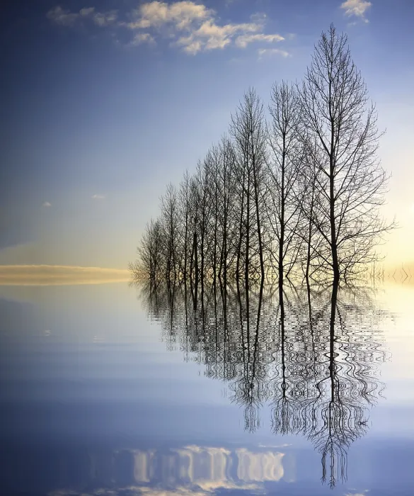 Framed Print : Forces of Nature Print by imageBROKER Framed Print : Forces of Nature Print by imageBROKER