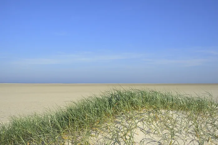 Framed Print : Foredunes at St. Peter-Ording Beach Print, Germany Framed Print : Foredunes at St. Peter-Ording Beach Print, Germany