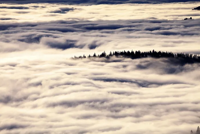 Framed Print : Feldberg Forest Print: Cloud Level Inversion