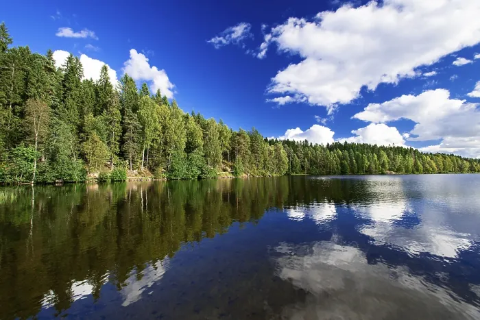 Framed Print : Forest Lake Print from imageBROKER Framed Print : Forest Lake Print from imageBROKER