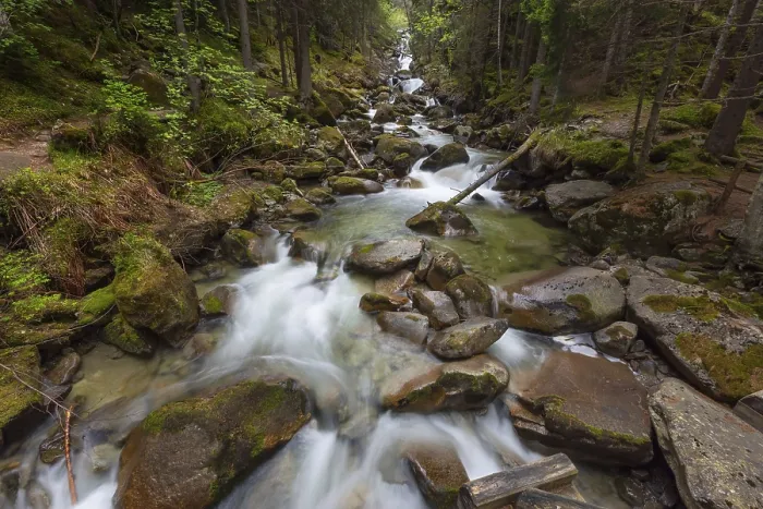 Framed Print : Alpine Stream Print - Spring Serenity