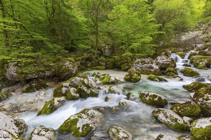 Framed Print : Alpine Stream Print: Long Exposure in Spring Framed Print : Alpine Stream Print: Long Exposure in Spring