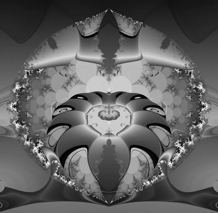 Framed Print : Fractal Print: Intricate Geometric Patterns Framed Print : Fractal Print: Intricate Geometric Patterns
