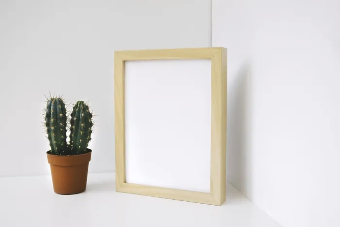 Framed Print : Frame cactus corner Print Framed Print : Frame cactus corner Print