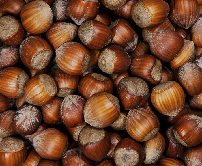 Framed Print : Organic Hazelnuts Print - Close-Up Autumn Texture Framed Print : Organic Hazelnuts Print - Close-Up Autumn Texture