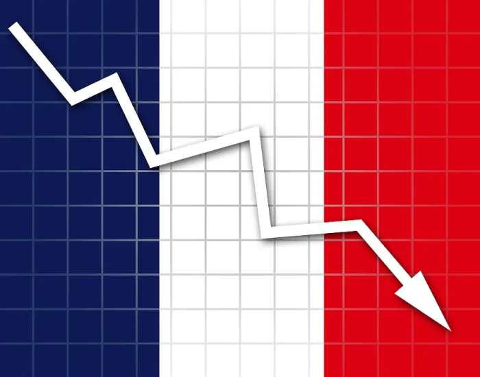 Framed Print : French Flag and Arrow Graph Print Framed Print : French Flag and Arrow Graph Print