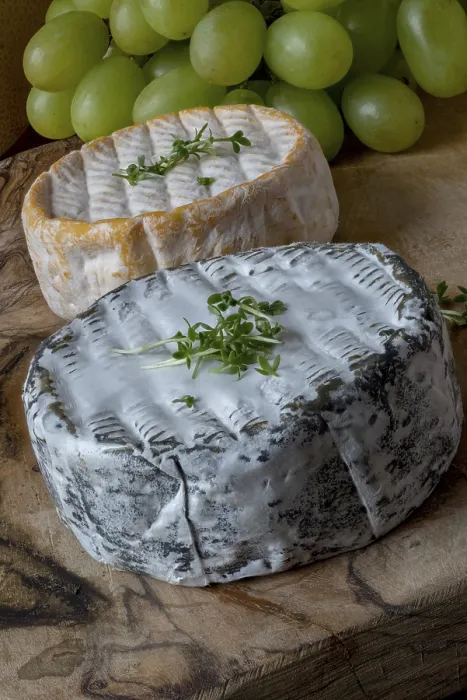 Framed Print : French Soft Cheese and Grapes Print Framed Print : French Soft Cheese and Grapes Print