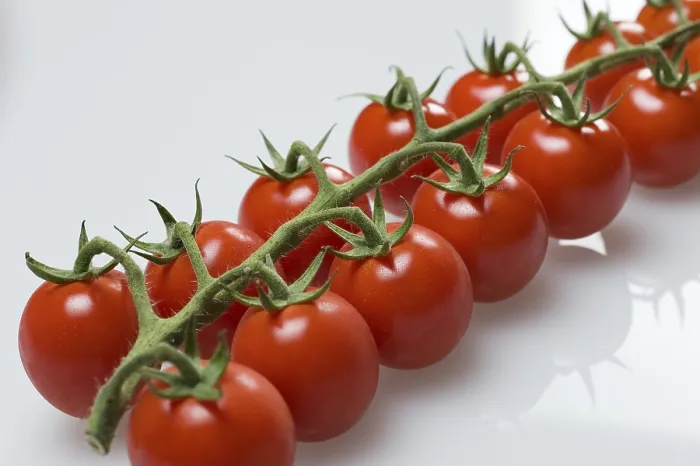 Framed Print : French Vine Tomatoes Print Framed Print : French Vine Tomatoes Print