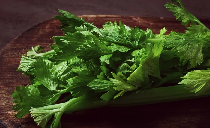 Framed Print : Dark Background Print of Fresh Celery Bunch Framed Print : Dark Background Print of Fresh Celery Bunch