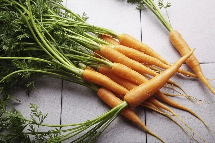 Framed Print : Fresh Carrots Print Framed Print : Fresh Carrots Print