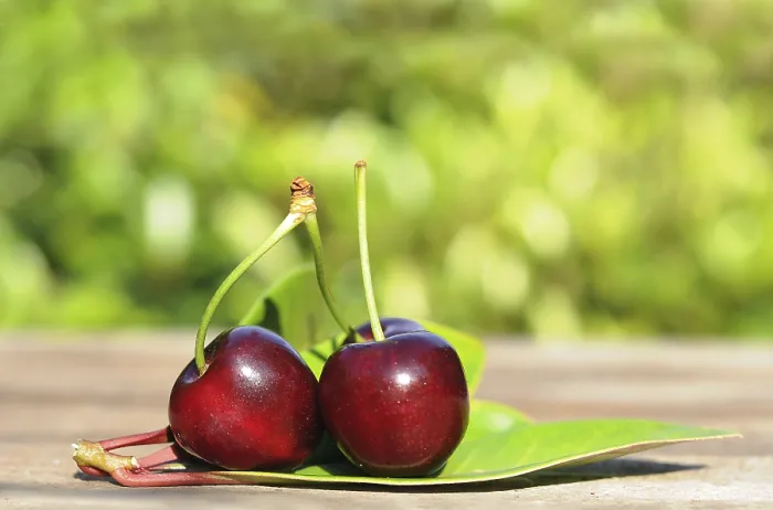 Framed Print : Fresh Cherries Print Framed Print : Fresh Cherries Print